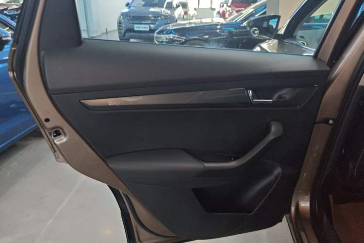 Used Skoda Karoq 2019 TSI280 SmartDrive Luxury Edition China V Standard Left Rear Door Interior