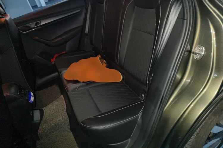 Used Skoda Karoq 2019 TSI280 SmartDrive Luxury Edition China V Standard Left Rear Seat