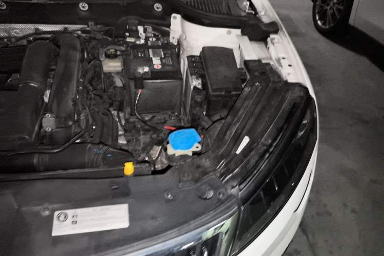 Used Skoda Karoq 2019 TSI280 SmartDrive Luxury Edition China V Standard Engine Bay Left