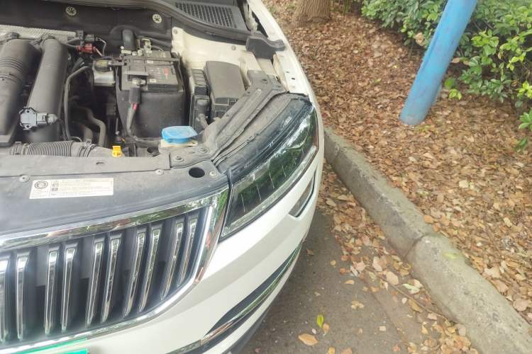 Used Skoda Karoq 2019 TSI280 Smart Drive Elite Edition China V Standard Engine Bay Left