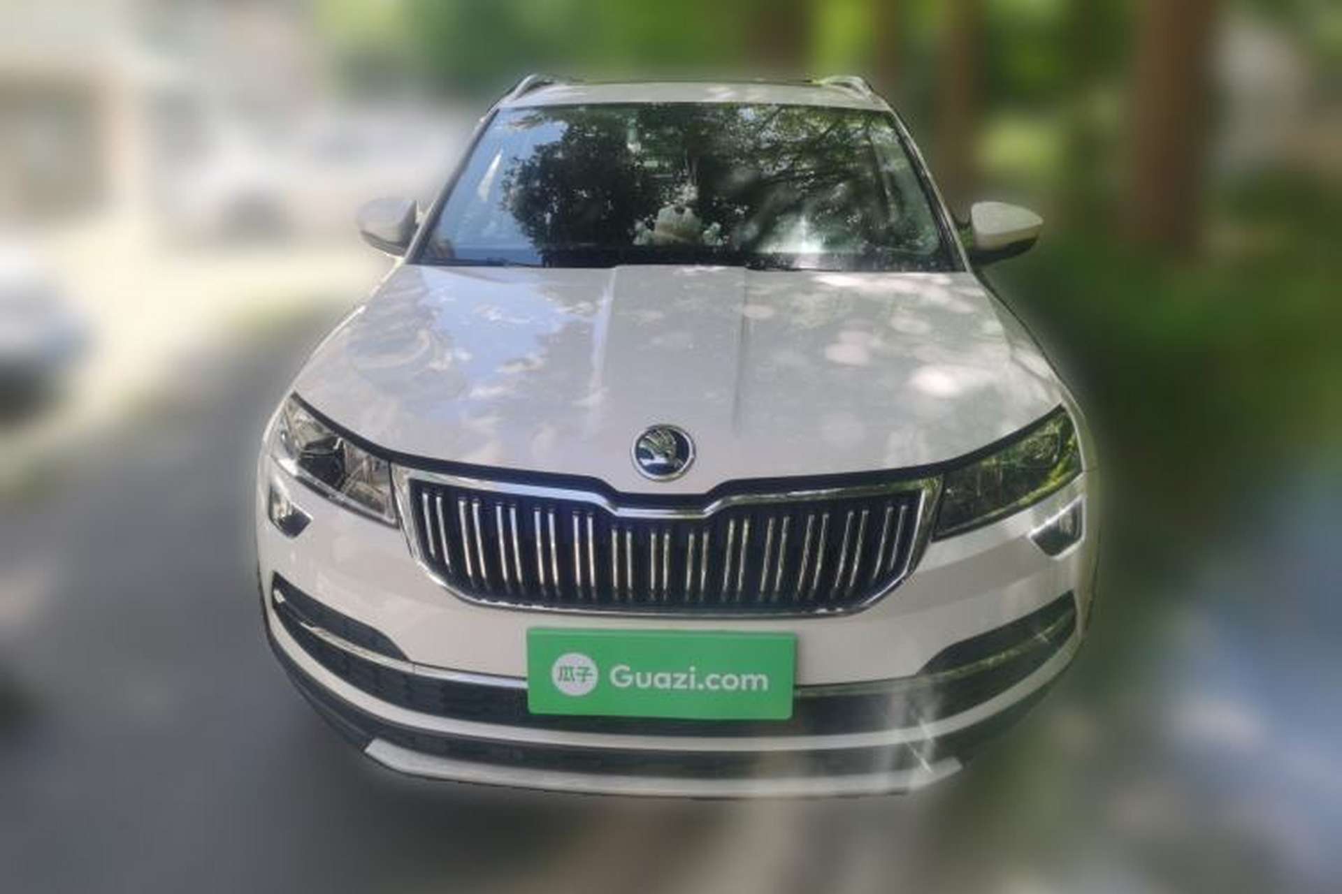 Used Skoda Karoq 2019 TSI280 Smart Drive Elite Edition China V Standard Front