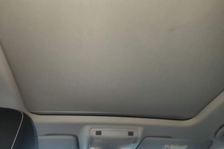 Used Skoda Karoq 2019 TSI280 Smart Drive Elite Edition China V Standard Headliner