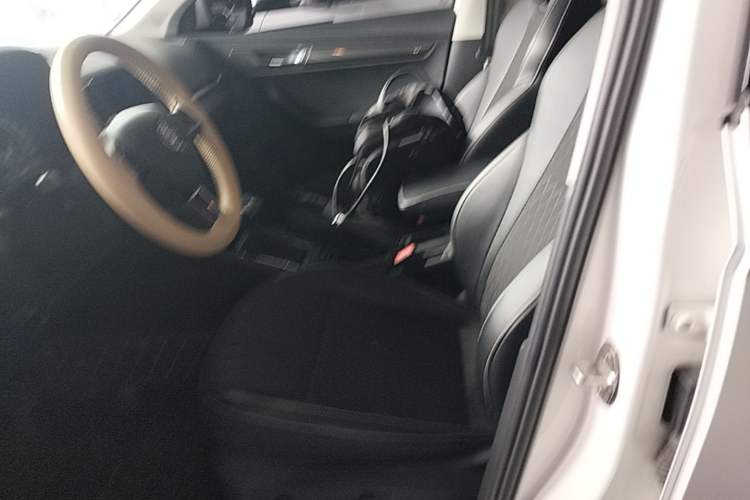 Used Skoda Karoq 2019 TSI280 Smart Drive Elite Edition China V Standard Left Front Seat