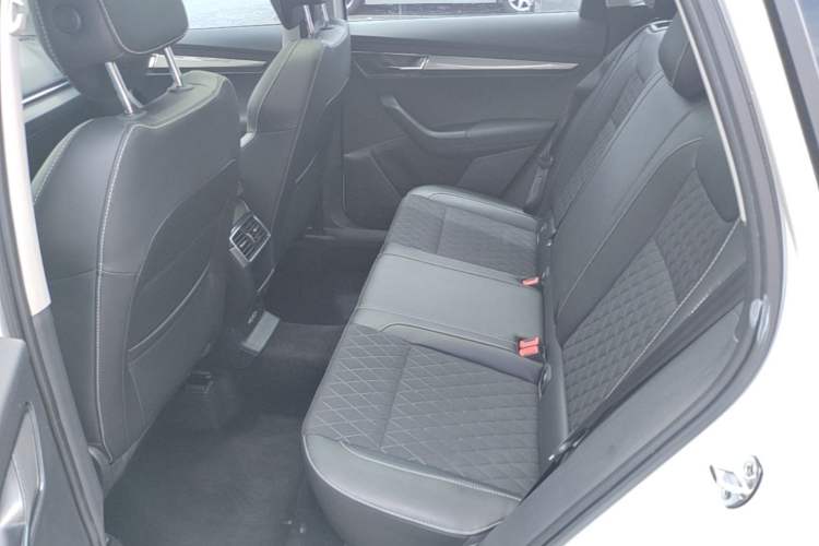 Used Skoda Karoq 2019 TSI280 Smart Drive Elite Edition China V Standard Left Rear Seat