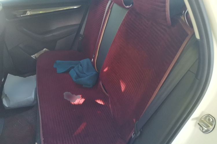 Used Skoda Karoq 2019 TSI280 Smart Drive Elite Edition China V Standard Left Rear Seat