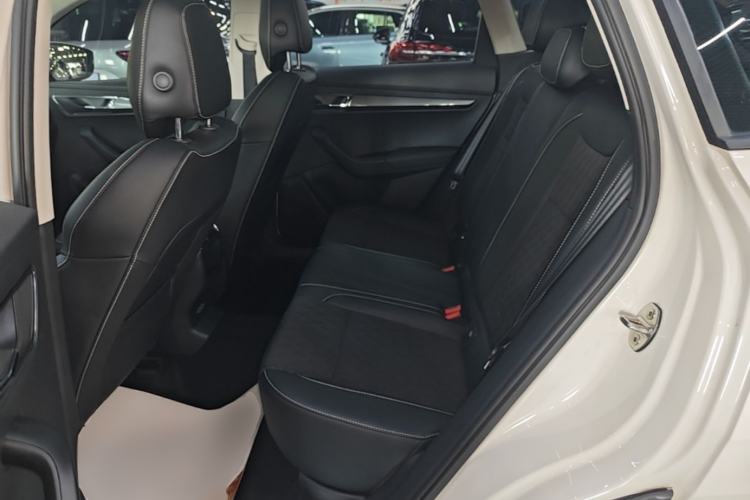 Used Skoda Karoq 2019 TSI280 Smart Drive Elite Edition China V Standard Left Rear Seat