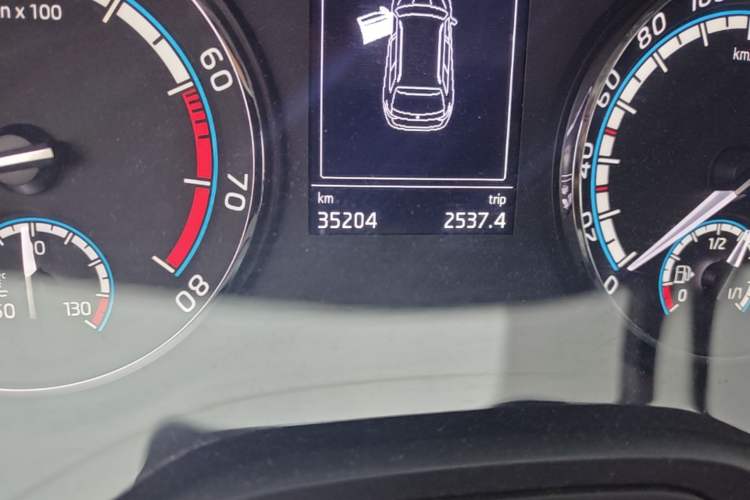 Used Skoda Karoq 2019 TSI280 SmartDrive Luxury Edition China VI standard Odometer Close Up