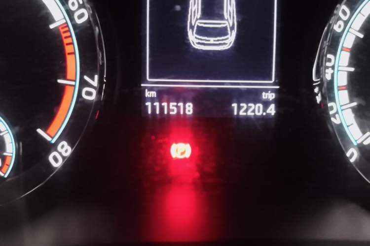 Used Skoda Karoq 2019 TSI280 Smart Drive Deluxe Edition China VI Standard Odometer Close Up