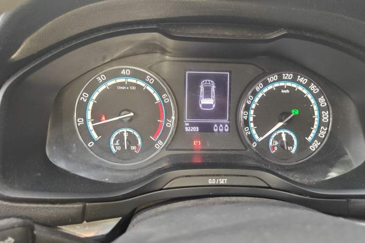 Used Skoda Karoq 2019 TSI280 SmartDrive Luxury Edition China V Standard Odometer Close Up