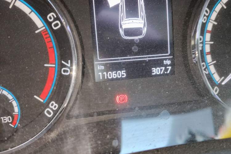 Used Skoda Karoq 2019 TSI280 Smart Drive Elite Edition China V Standard Odometer Close Up