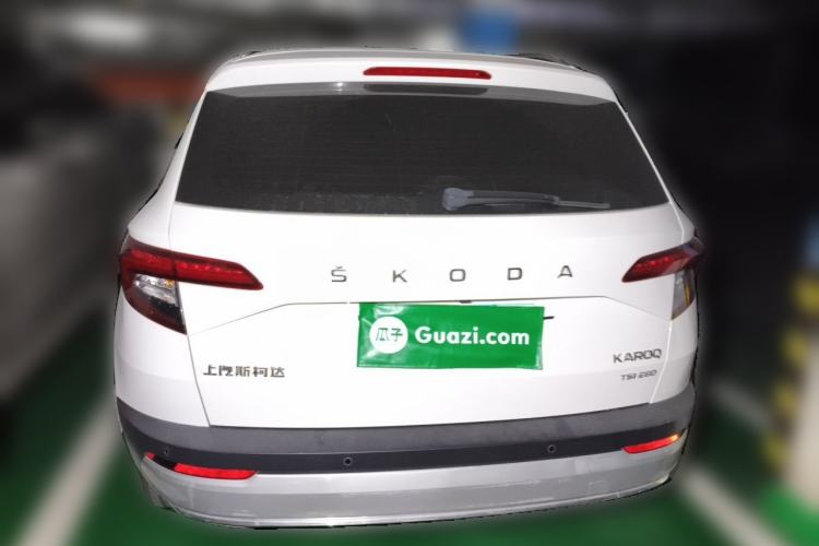 Used Skoda Karoq 2019 TSI280 Smart Drive Deluxe Edition China VI Standard Rear