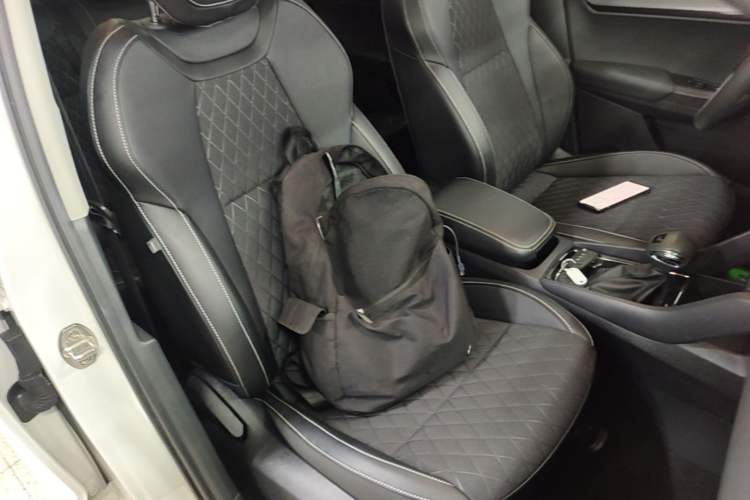 Used Skoda Karoq 2019 TSI280 SmartDrive Luxury Edition China V Standard Right Front Seat