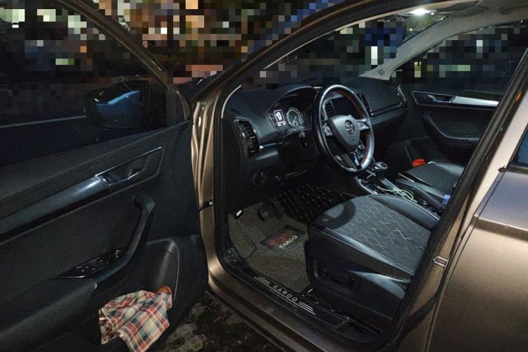 Used Skoda Karoq 2019 TSI280 Smart Drive Deluxe Edition China VI Standard Driver Seat