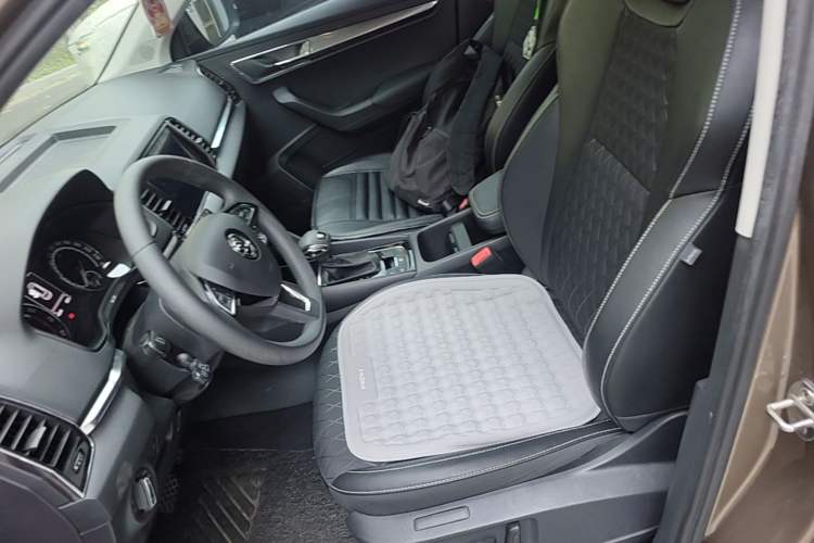 Used Skoda Karoq 2019 TSI280 SmartDrive Luxury Edition China V Standard Left Front Seat