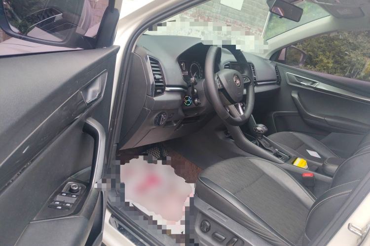 Used Skoda Karoq 2020 TSI280 Luxury Smart Edition China VI Standard Driver Seat
