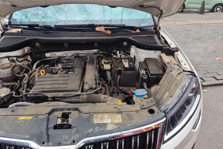 Used Skoda Karoq 2020 TSI280 Luxury Smart Edition China VI Standard Engine Bay Left