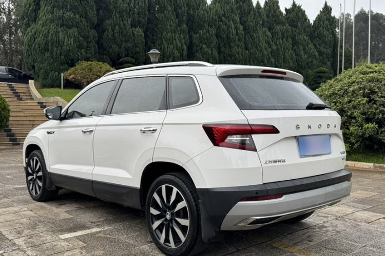 Used Skoda Karoq 2020 TSI280 Luxury Smart Edition China VI Standard Exterior 5