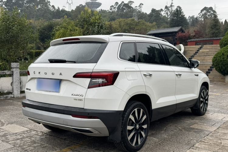 Used Skoda Karoq 2020 TSI280 Luxury Smart Edition China VI Standard Exterior 7