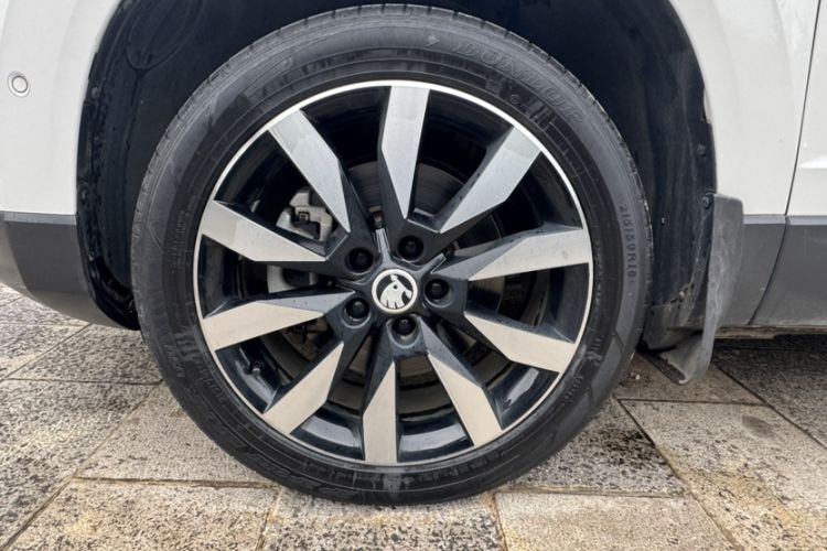 Used Skoda Karoq 2020 TSI280 Luxury Smart Edition China VI Standard Exterior 8