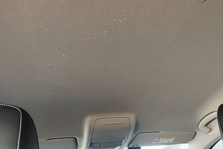 Used Skoda Karoq 2020 TSI280 Smart Drive Technology Edition China VI Headliner