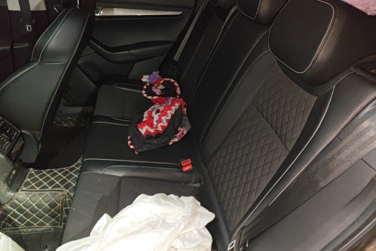 Used Skoda Karoq 2020 TSI280 Luxury Smart Edition China VI Standard Left Rear Seat