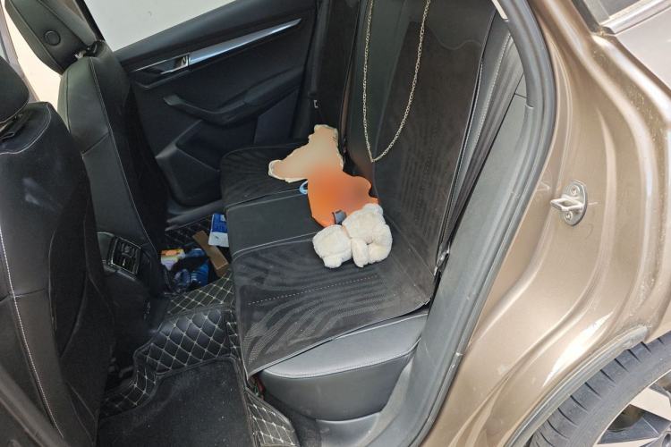 Used Skoda Karoq 2021 TSI280 Luxury Edition Left Rear Seat