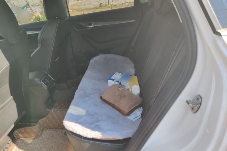Used Skoda Karoq 2021 TSI280 Luxury Edition Left Rear Seat