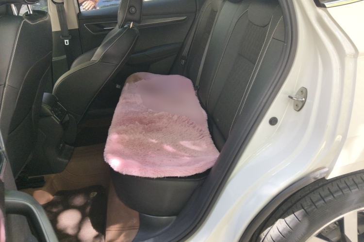 Used Skoda Karoq 2021 TSI280 Luxury Edition Left Rear Seat