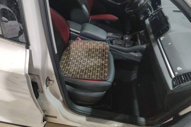 Used Skoda Karoq 2022 TSI280 Luxury Edition Right Front Seat