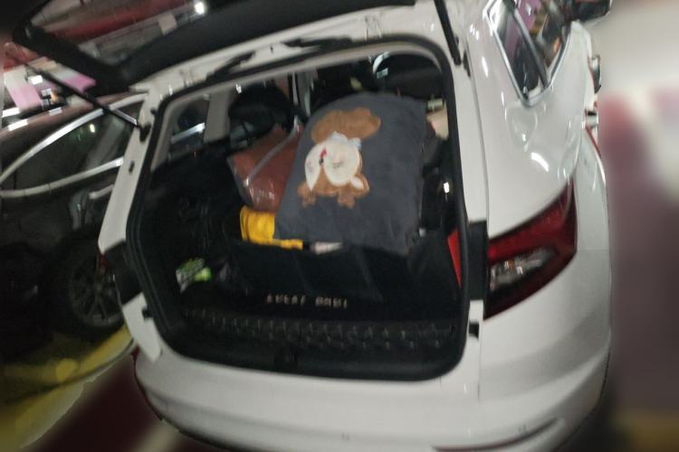 Used Skoda Karoq 2022 TSI280 Premium Edition Trunk