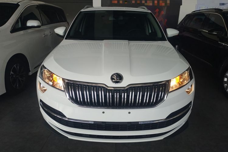 Used Skoda Karoq 2023 TSI280 Premium Edition Exterior 1