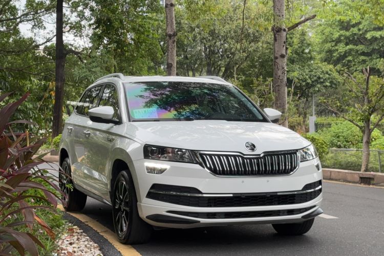 Used Skoda Karoq 2023 TSI280 Premium Edition Exterior 1