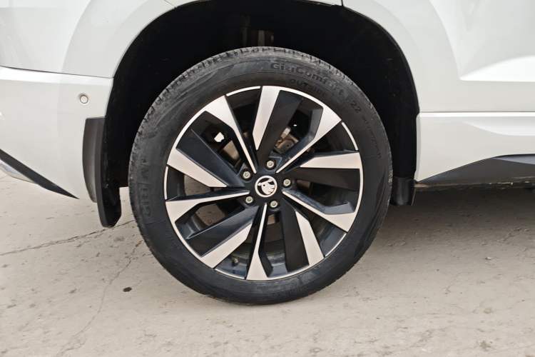 Used Skoda Karoq 2023 TSI280 Luxury Edition Exterior 8
