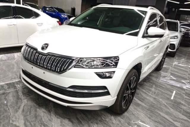 Skoda Karoq 2024 TSI280 Premium Edition usado