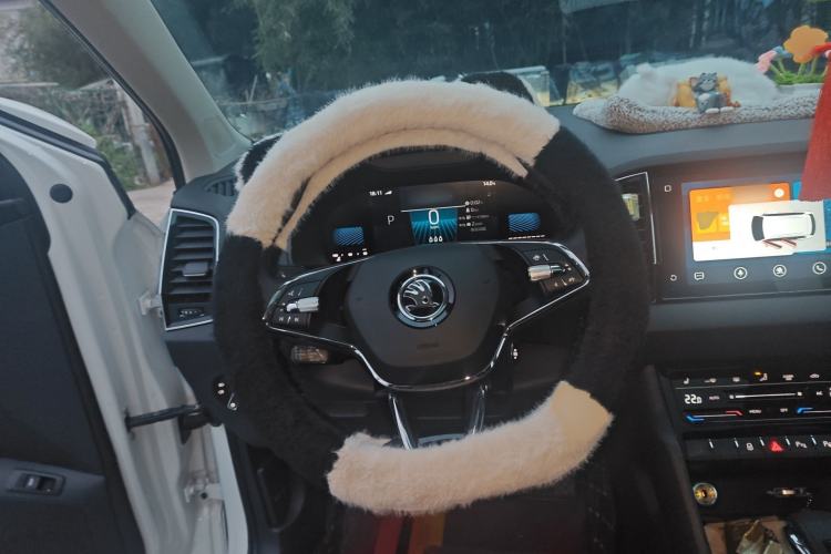 Used Skoda Karoq 2024 TSI280 Luxury Edition Steering Wheel