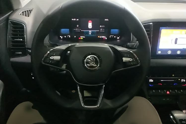 Used Skoda Karoq 2025 TSI280 Luxury Edition Steering Wheel