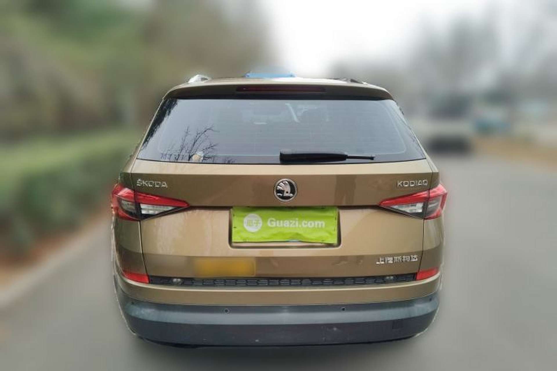 Used Skoda Kodiaq 2017 TSI330 5-Seat Two-Wheel Drive Luxury Edition Rear