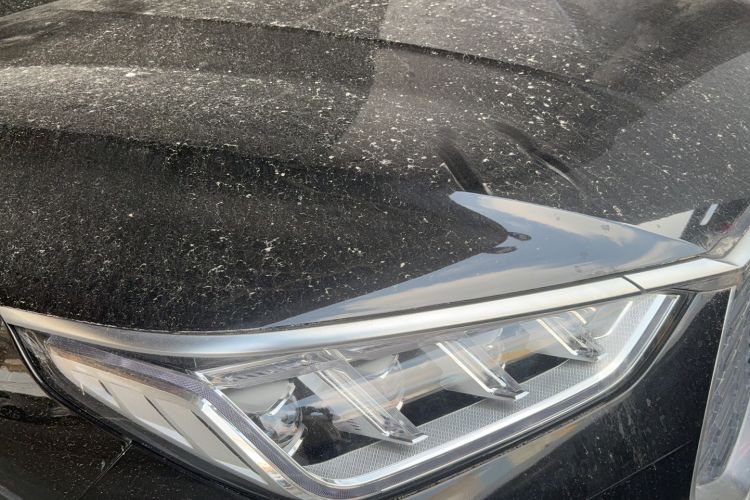 Used Skoda Kodiaq 2018 TSI330 5-Seater Two-Wheel-Drive Luxury Edition Left Front Headlight