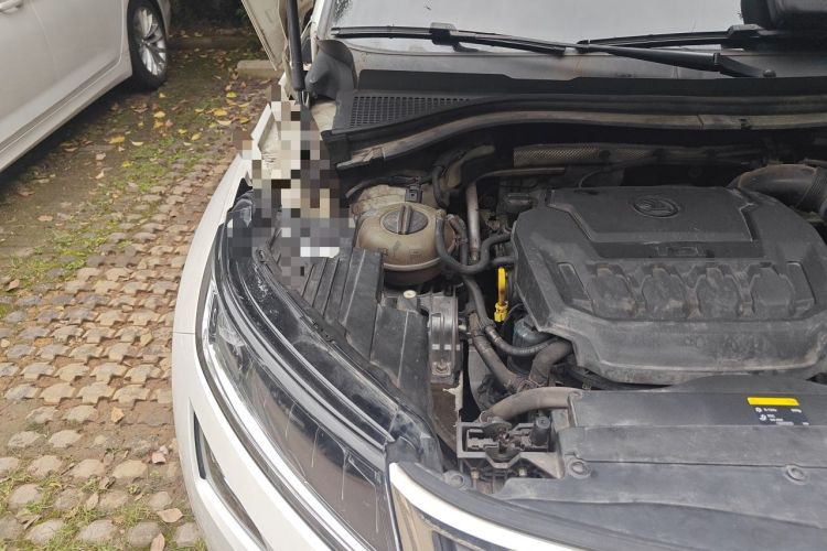 Used Skoda Kodiaq 2018 Restyled TSI330 7-Seater Two-Wheel Drive Luxury Enjoyment Edition Engine Bay Right