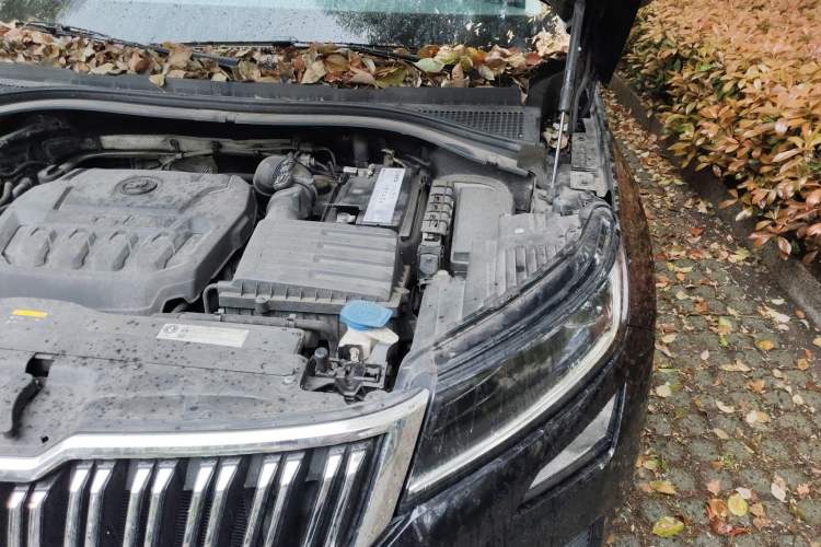 Used Skoda Kodiaq 2019 Facelifted TSI330 5-Seater Two-Wheel-Drive Luxury Enjoyment Edition China VI Standard Engine Bay Left