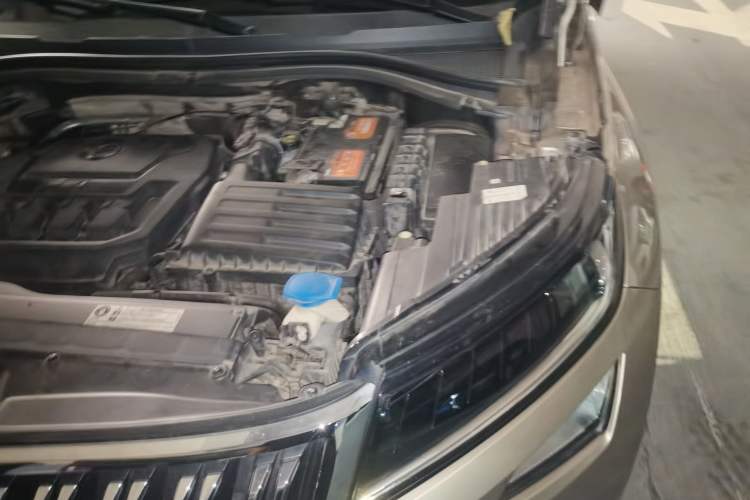 Used Skoda Kodiaq 2019 TSI330 5-Seat Two-Wheel Drive Luxury Enjoyment Edition China V Standard Engine Bay Left