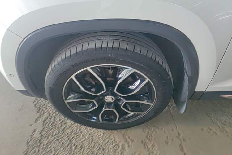 Used Skoda Kodiaq 2019 Facelifted TSI330 5-Seater Two-Wheel-Drive Luxury Enjoyment Edition China VI Standard Exterior 4