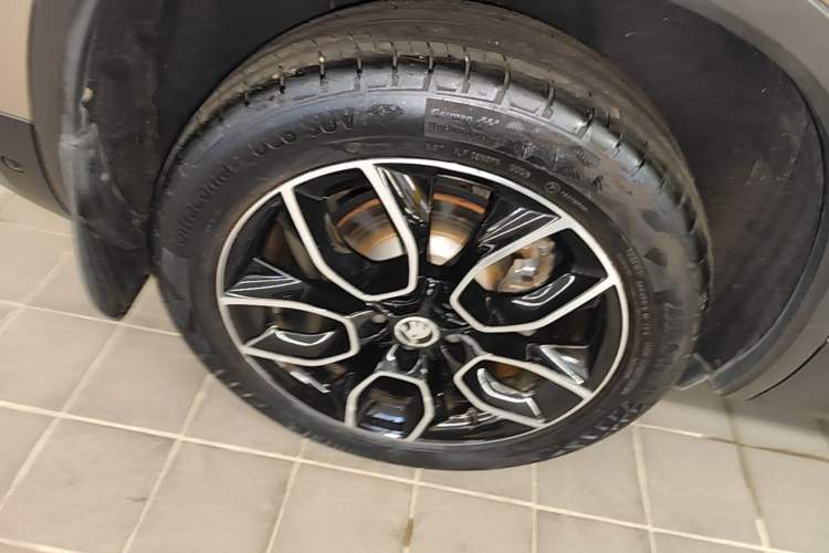 Used Skoda Kodiaq 2019 Facelifted TSI330 7-Seater Two-Wheel-Drive Luxury Enjoyment Edition China VI Standard Exterior 5