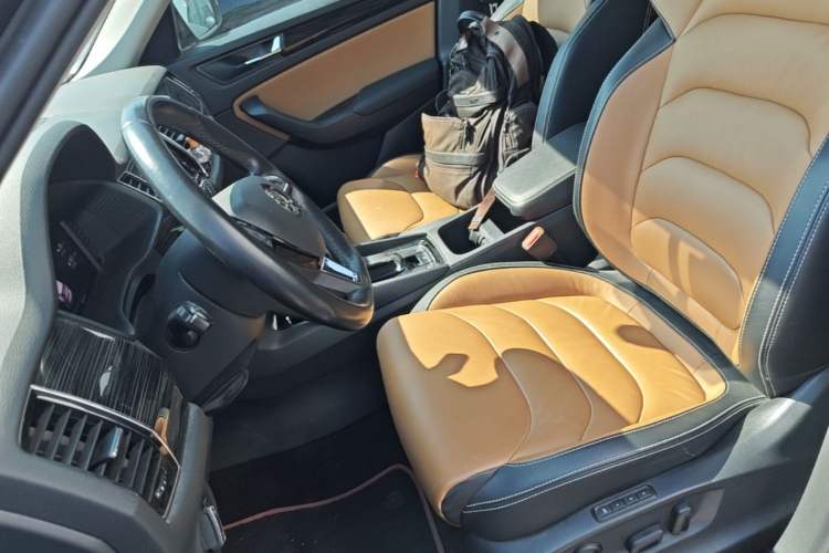 Used Skoda Kodiaq GT 2019 TSI330 Two-Wheel-Drive Luxury Edition China VI Standard Left Front Seat