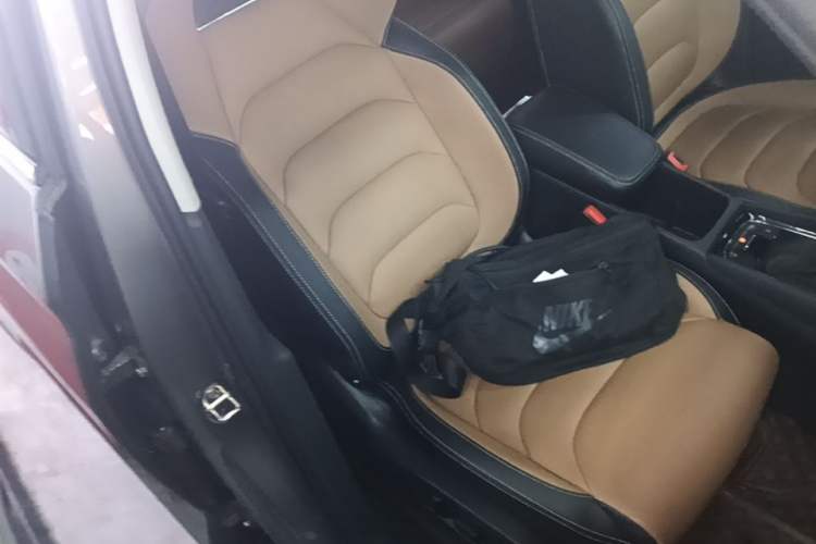 Used Skoda Kodiaq GT 2019 TSI330 Two-Wheel-Drive Luxury Edition China VI Standard Right Front Seat
