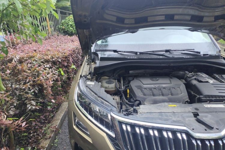 Used Skoda Kodiaq GT 2019 TSI330 Two-Wheel Drive Comfort Edition China V Standard Engine Bay Right
