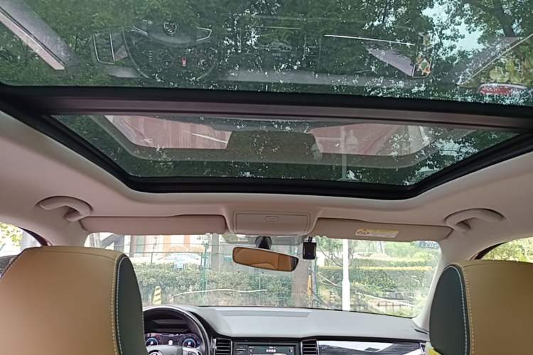 Used Skoda Kodiaq GT 2019 TSI330 Two-Wheel-Drive Luxury Edition China VI Standard Headliner