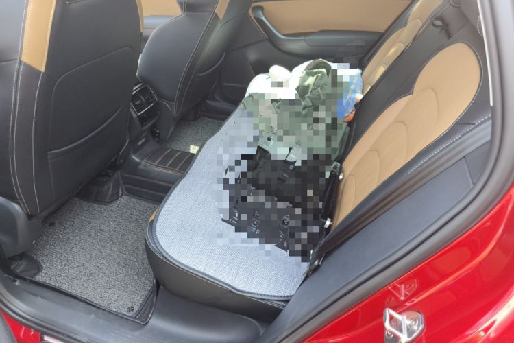 Used Skoda Kodiaq GT 2019 TSI330 Two-Wheel-Drive Luxury Edition China VI Standard Left Rear Seat