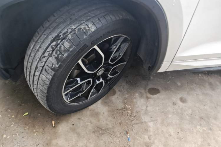 Used Skoda Kodiaq GT 2019 TSI330 Two-Wheel-Drive Luxury Edition China VI Standard Exterior 4