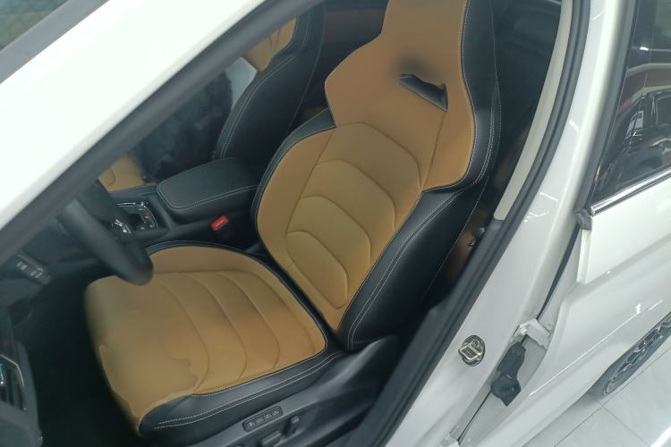 Used Skoda Kodiaq GT 2019 TSI330 Two-Wheel-Drive Luxury Edition China VI Standard Left Front Seat
